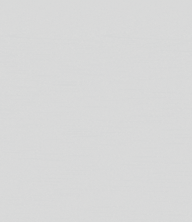 Template Article